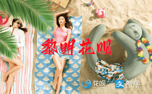 大海捞针花呗